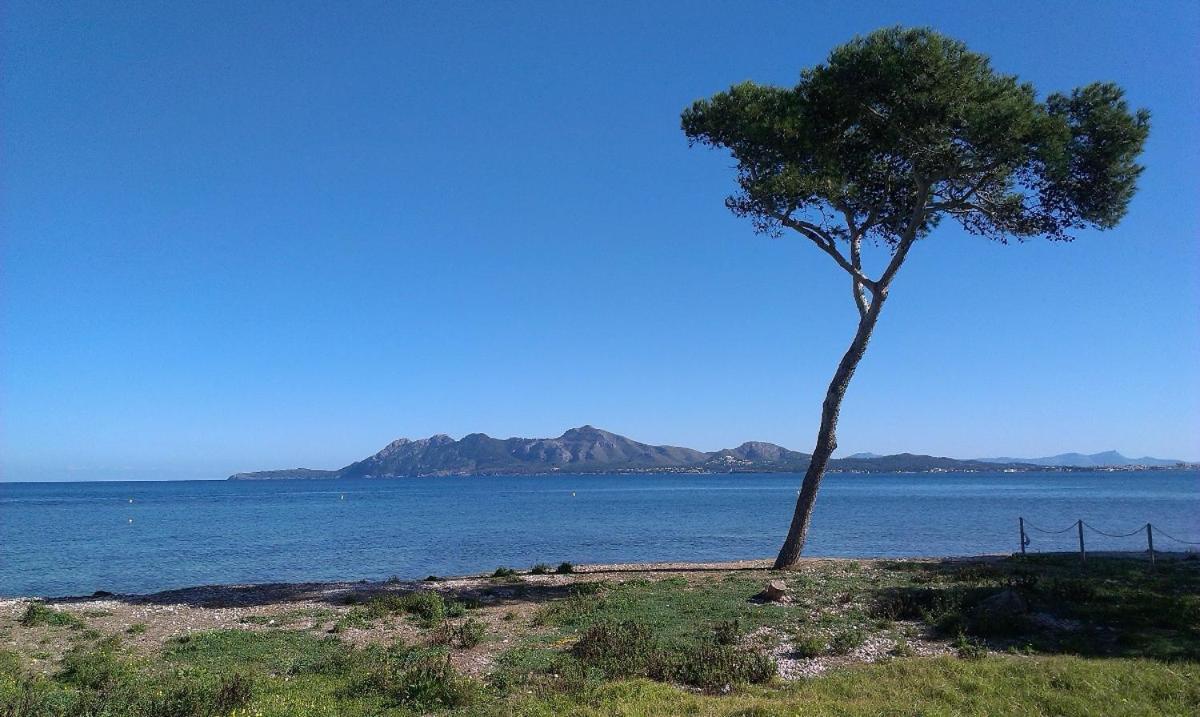 Pollentia Mar Port de Pollença